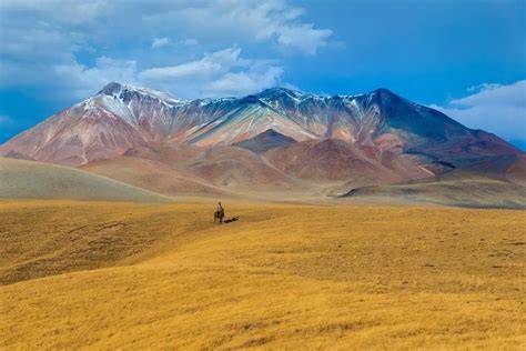 Nomad S Land