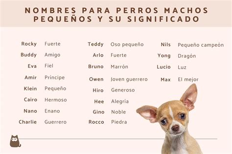 nombre de perro