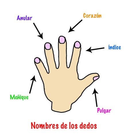Nombrede Los Dedos