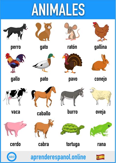 Nombres D Animales