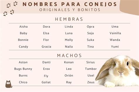 Nombres De Conejos