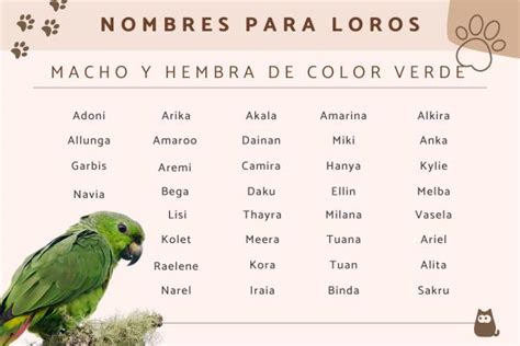Nombres De Pericos