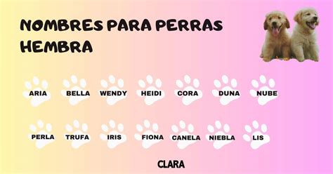Nombres De Perra