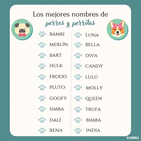Nombres De Perras