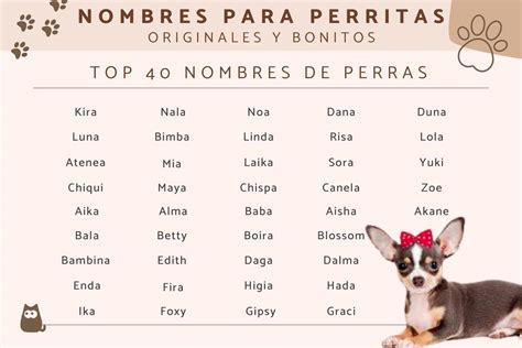 Nombres Para Perras