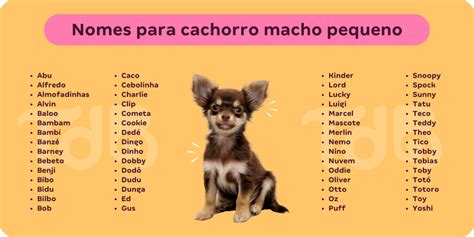 nome para cachorro macho