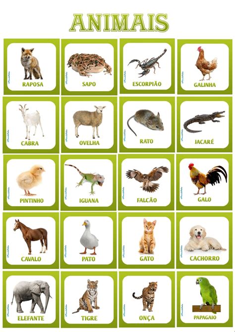 Nomes De Animais