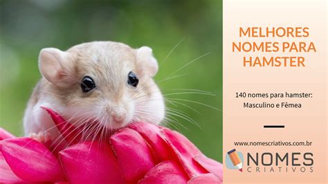 Nomes Para Hamster