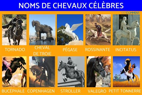 Noms De Cheval