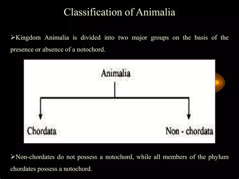 Non Chordata Classification