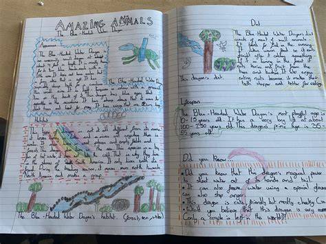 non chronological reports year 4 ww2