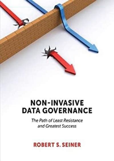 non invasive data governance pdf