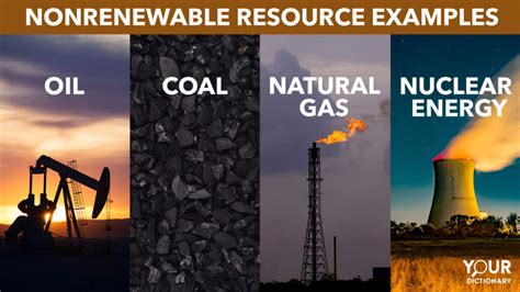Non Renewable Resources Extraction Programs And Markets