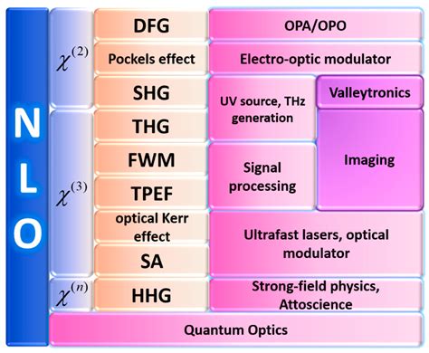 Nonlinear Optical Materials Principles And Applications Proceedings Of The International School Of Physics