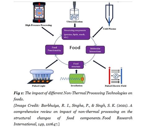 Full Download Nonthermal Processing Technologies For Food 