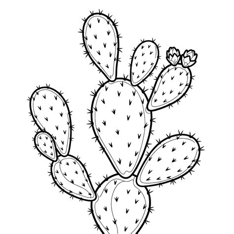 Nopal Para Colorear