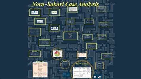 Nora Sakari Case
