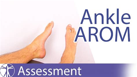 Normal Ankle Arom