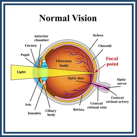 Normal Distant Vision