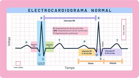 Normal E C G