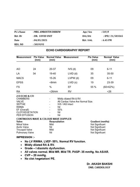Normal Echo Report