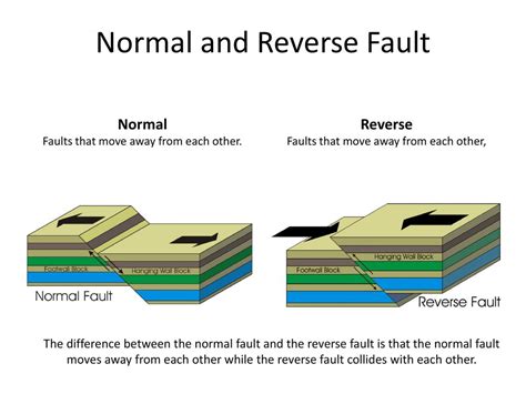 codini.rgarabwor.edu.pl. 