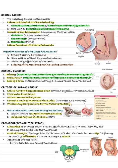 normal labour from dutta obstetrics and gynaecology