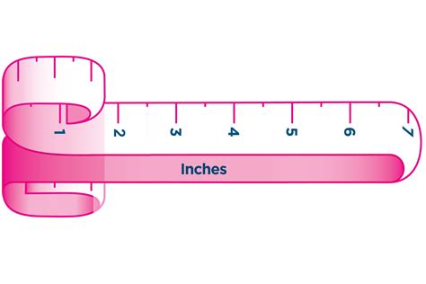 Normal Size Of Pennis