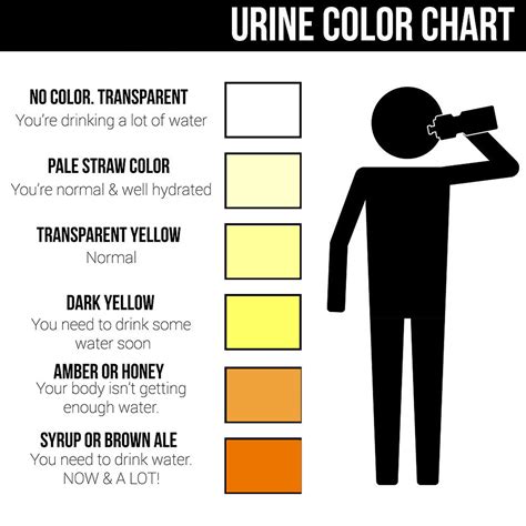 normal urine color