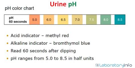 Normal Urine Ph Value
