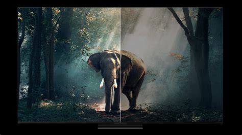Normalize Image Contrast Ai