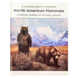North American Mammals Coloring Book Amnh North American Animals Coloring Pages - North American Animals Coloring Pages