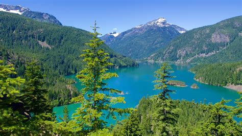 north washington
