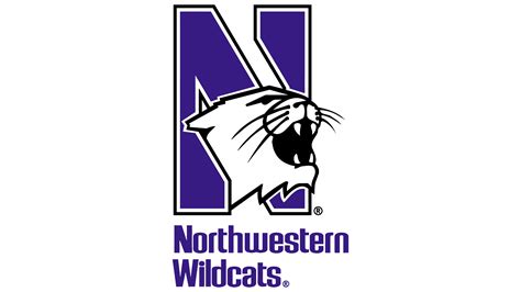northwestern colors