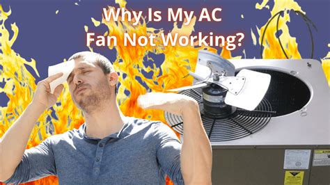 Not A Fan