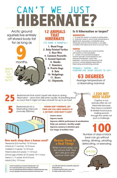Not Just Sleep All About Hibernation Curious Australian Hibernation Science Experiments - Hibernation Science Experiments