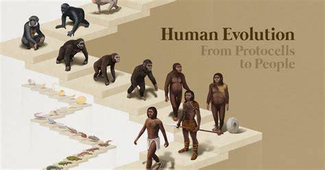 Not Made By Humans