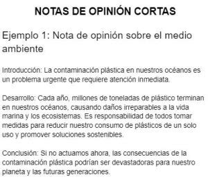Nota De Opinion