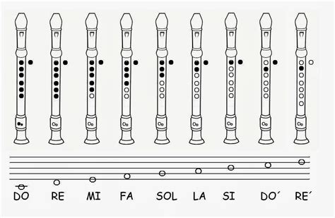 Notas De Flauta De