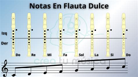 Notas De Flauta Dulce