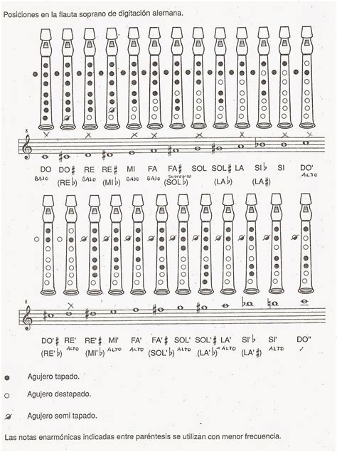 Notas De La Flauta