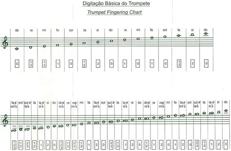 Notas Do Trompete