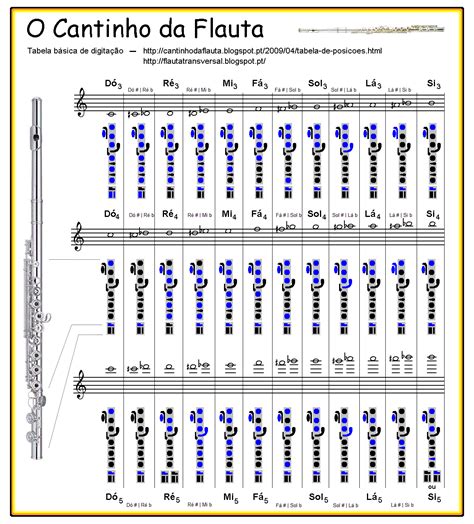 Notas Flauta Transversal