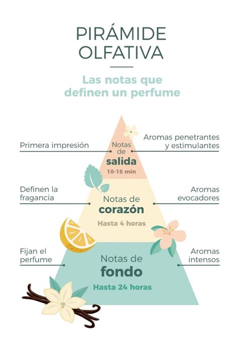 notas olfativas perfumes
