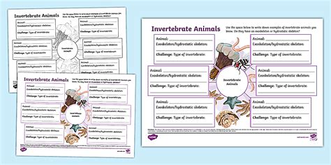 note taking invertebrate animals answer key