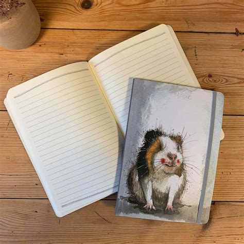 notebook guinea pig design