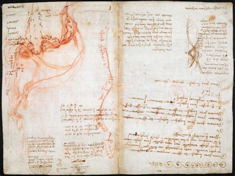 notebooks of leonardo da vinci summary biography