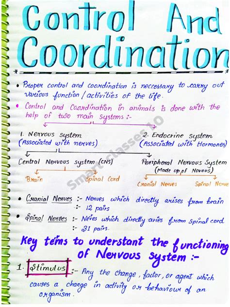 Notes For Control And Coordination