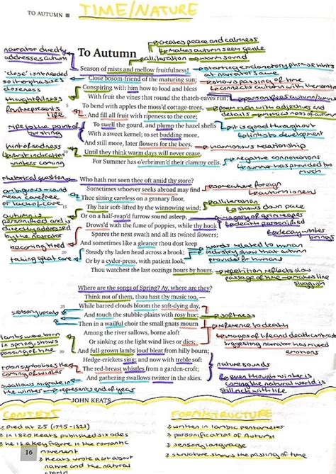Notes Of Autumn Summary