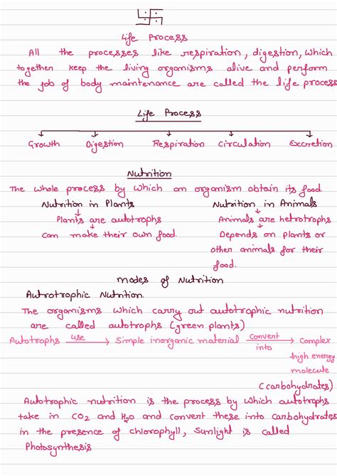 Notes Of Life Process Class 10 Pdf